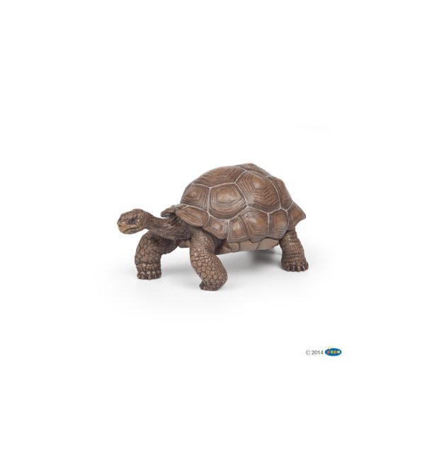 Papo Galapagos tortoise