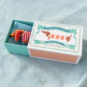 Rex London Sausage Dog in a Little Box