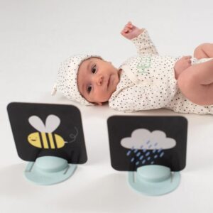 Taf Toys My First Tummy Time Cards