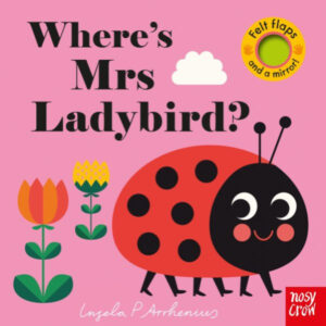 Felt Flaps Ladybird Buggy Book