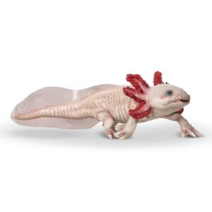 Papo Axolotl