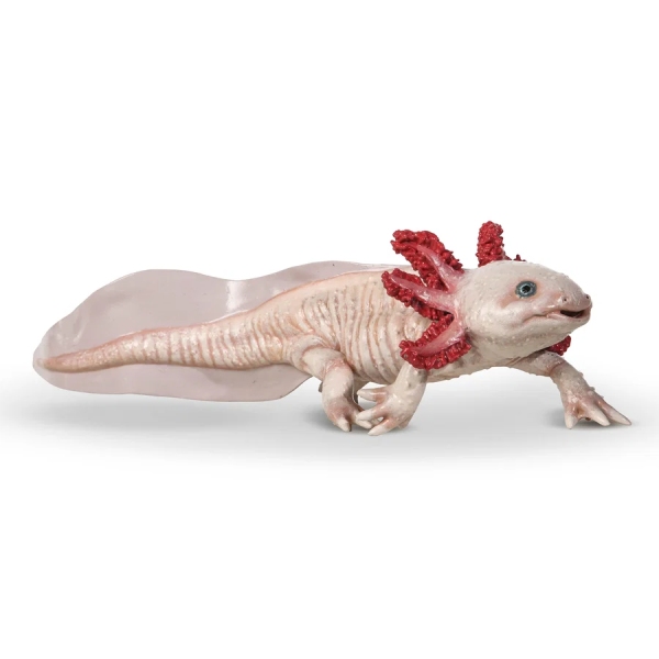 Papo Axolotl